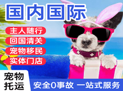 德宏机场快递国际宠物托运 【国